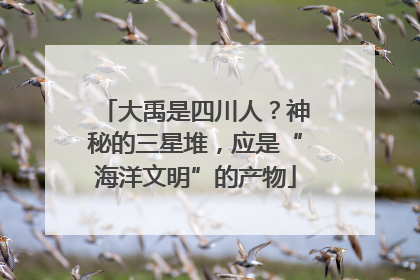 大禹是四川人？神秘的三星堆，应是“海洋文明”的产物