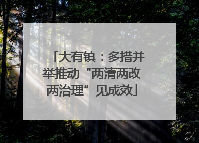 大有镇：多措并举推动“两清两改两治理”见成效