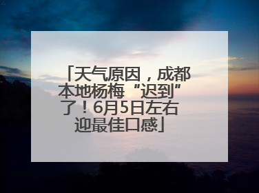 天气原因，成都本地杨梅“迟到”了！6月5日左右迎最佳口感