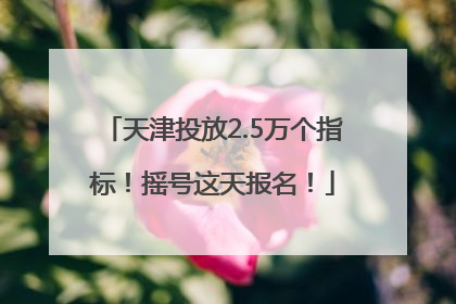 天津投放2.5万个指标！摇号这天报名！
