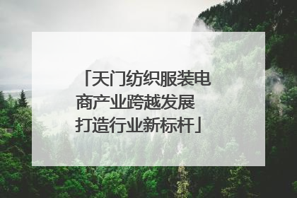 天门纺织服装电商产业跨越发展 打造行业新标杆