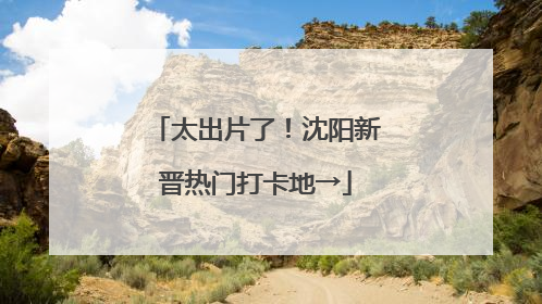 太出片了！沈阳新晋热门打卡地→