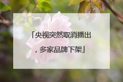 央视突然取消播出，多家品牌下架