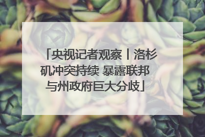 央视记者观察丨洛杉矶冲突持续 暴露联邦与州政府巨大分歧
