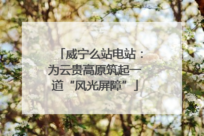 威宁么站电站：为云贵高原筑起一道“风光屏障”