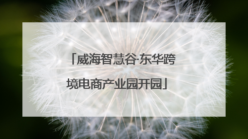 威海智慧谷·东华跨境电商产业园开园