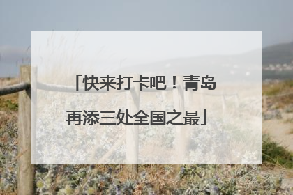 快来打卡吧！青岛再添三处全国之最
