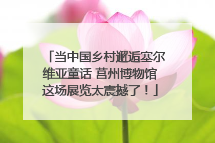 当中国乡村邂逅塞尔维亚童话 莒州博物馆这场展览太震撼了！