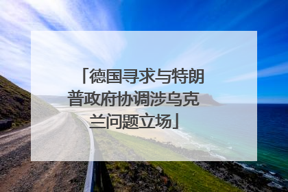 德国寻求与特朗普政府协调涉乌克兰问题立场