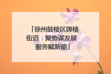 徐州鼓楼区牌楼街道：聚势谋发展 服务赋新能