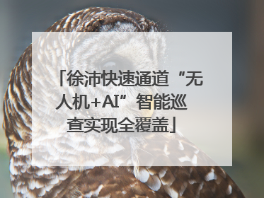 徐沛快速通道“无人机+AI”智能巡查实现全覆盖