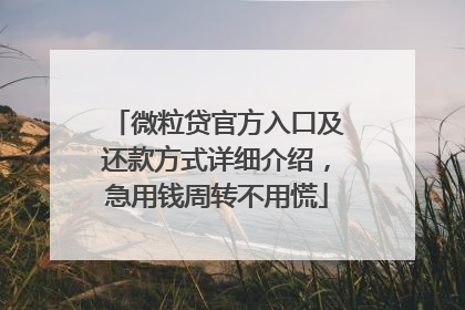 微粒贷官方入口及还款方式详细介绍，急用钱周转不用慌