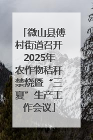 微山县傅村街道召开2025年农作物秸秆禁烧暨“三夏”生产工作会议