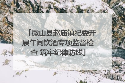 微山县赵庙镇纪委开展午间饮酒专项监督检查 筑牢纪律防线