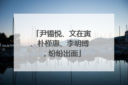 尹锡悦、文在寅、朴槿惠、李明博，纷纷出面