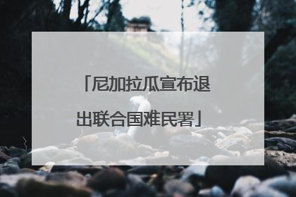 尼加拉瓜宣布退出联合国难民署