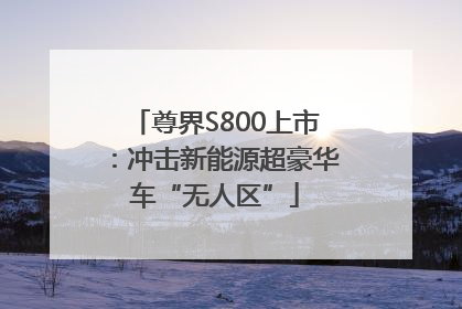 尊界S800上市：冲击新能源超豪华车“无人区”