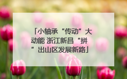 小轴承“传动”大动能 浙江新昌“拼”出山区发展新路
