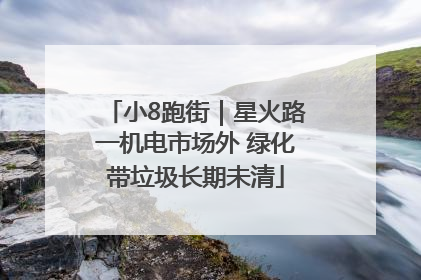 小8跑街｜星火路一机电市场外 绿化带垃圾长期未清