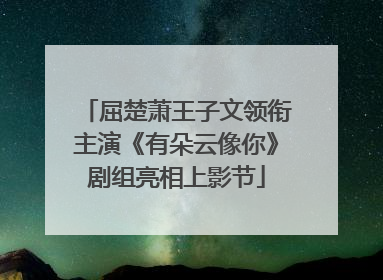 屈楚萧王子文领衔主演《有朵云像你》剧组亮相上影节