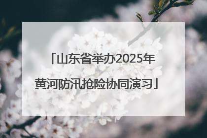 山东省举办2025年黄河防汛抢险协同演习