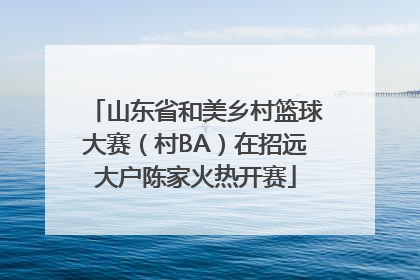 山东省和美乡村篮球大赛（村BA）在招远大户陈家火热开赛
