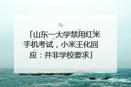 山东一大学禁用红米手机考试，小米王化回应：并非学校要求