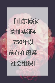山东傅家遗址实证4750年以前存在母系社会组织