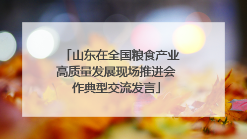 山东在全国粮食产业高质量发展现场推进会作典型交流发言