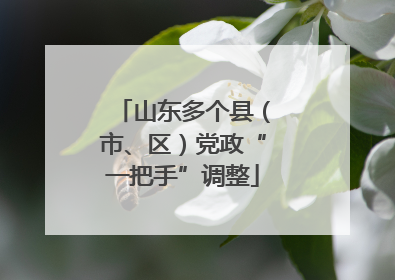 山东多个县（市、区）党政“一把手”调整