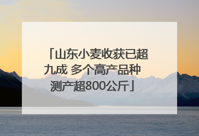 山东小麦收获已超九成 多个高产品种测产超800公斤