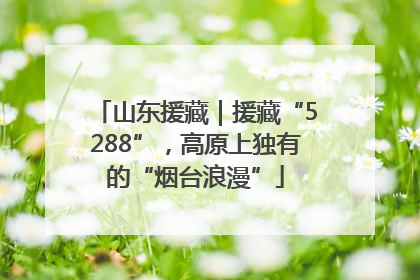 山东援藏｜援藏“5288”，高原上独有的“烟台浪漫”