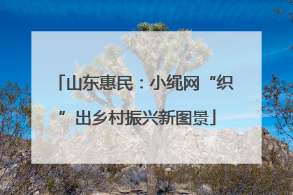 山东惠民：小绳网“织”出乡村振兴新图景
