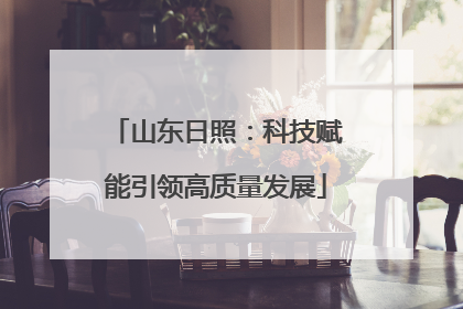 山东日照：科技赋能引领高质量发展