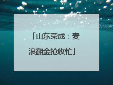 山东荣成：麦浪翻金抢收忙