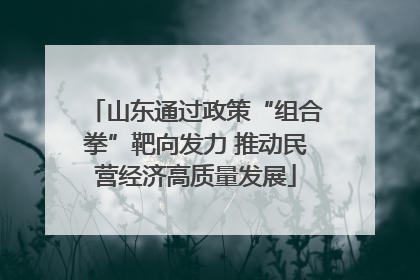 山东通过政策“组合拳”靶向发力 推动民营经济高质量发展