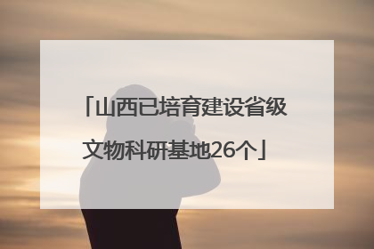 山西已培育建设省级文物科研基地26个