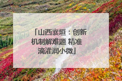 山西襄垣:创新机制解难题 精准滴灌润小微