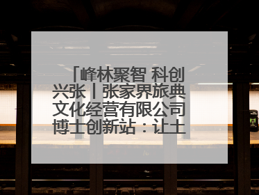 峰林聚智 科创兴张丨张家界旅典文化经营有限公司博士创新站：让土家织锦“智”造出非遗新传奇