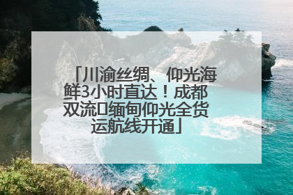 川渝丝绸、仰光海鲜3小时直达！成都双流⇌缅甸仰光全货运航线开通
