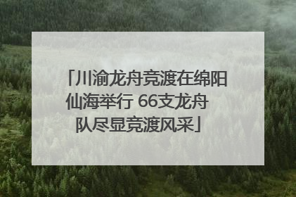川渝龙舟竞渡在绵阳仙海举行 66支龙舟队尽显竞渡风采
