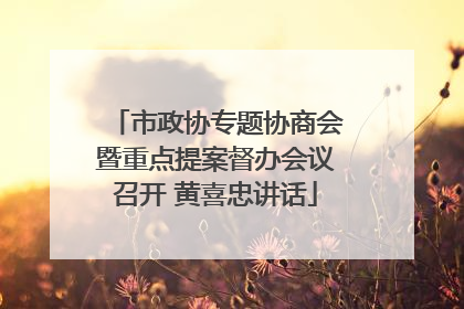 市政协专题协商会暨重点提案督办会议召开 黄喜忠讲话