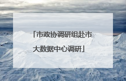 市政协调研组赴市大数据中心调研