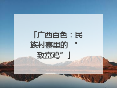 广西百色：民族村寨里的 “致富鸡”