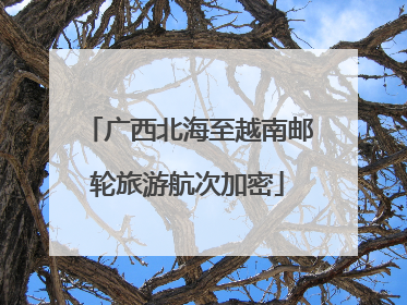 广西北海至越南邮轮旅游航次加密