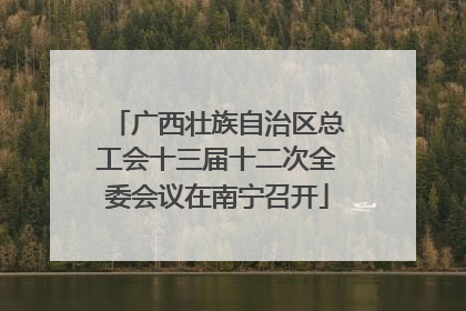 广西壮族自治区总工会十三届十二次全委会议在南宁召开