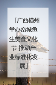 广西横州举办峦城鱼生美食文化节 推动产业标准化发展