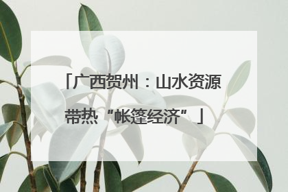 广西贺州：山水资源带热“帐篷经济”