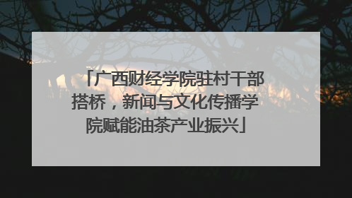 广西财经学院驻村干部搭桥，新闻与文化传播学院赋能油茶产业振兴