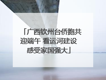 广西钦州台侨胞共迎端午 看运河建设感受家国强大